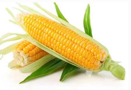 玉米期货介绍？影响玉米期货价格的因素有哪些？