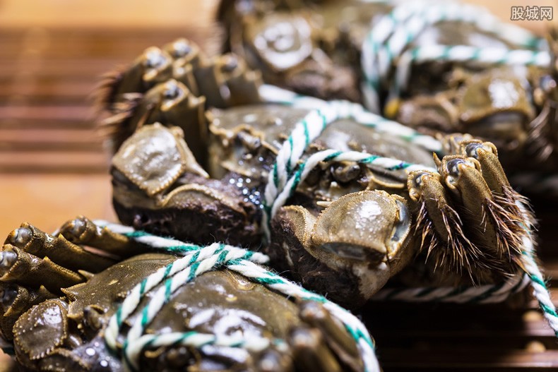 大闸蟹价格多少