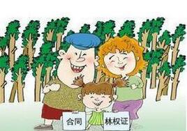 2016年林权抵押贷款政策_林权抵押贷款管理办法 