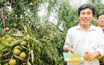 农民贷款难的原因_农民贷款新政策_农民贷款创业 