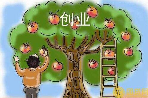 农村创业贷款如何办理_农村创业贷款办理流程 