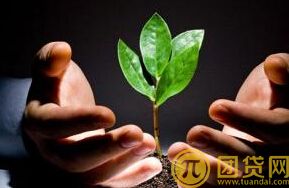 怎么申请创业贷款_申请创业贷款的流程 