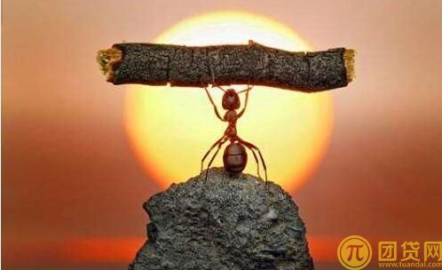 蚂蚁微贷怎么申请_申请条件 