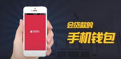 信用钱包贷款的常见问题_信用钱包贷款的费用有哪些 