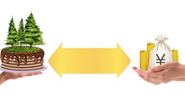 什么是林权抵押贷款_农村信用社林权抵押贷款的条件_操作流程 