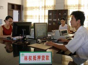 林权抵押贷款条件_所需资料_流程_用途_期限 
