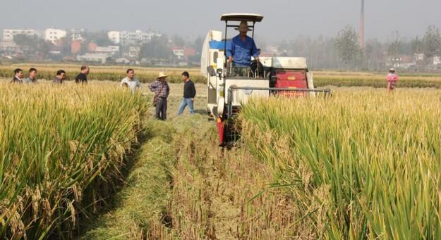 2017年土地经营权抵押贷款办法 