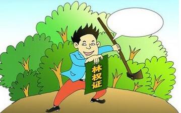 如何办理林权抵押贷款_林权抵押贷款的流程步骤 