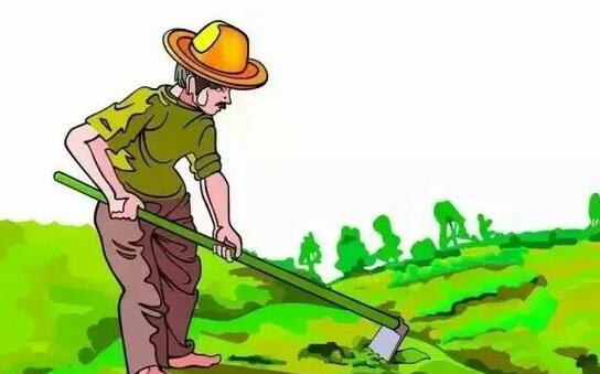 土地经营权抵押贷款流程_如何办理土地经营权抵押贷款 