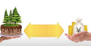 2016年林权抵押贷款政策_林权抵押贷款管理办法 