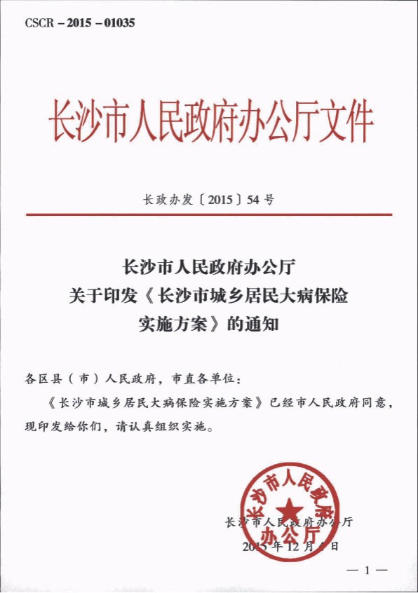 湖南省长沙市人民政府办公厅关于印发《长沙市城乡居民大病保险实施方案》的通知