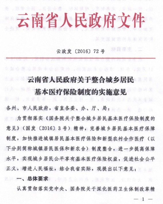 云南省人民政府关于整合城乡居民基本医疗保险制度的实施意见