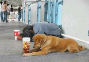 迪拜乞丐月入47万是真实的么       揭秘迪拜乞丐月入47万真相