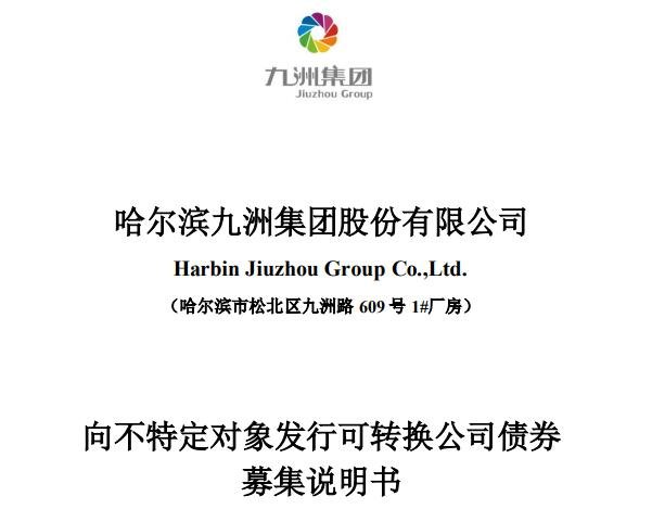 九洲转2什么时候上市，123089九洲转2上市收益以及首日价格影响因素