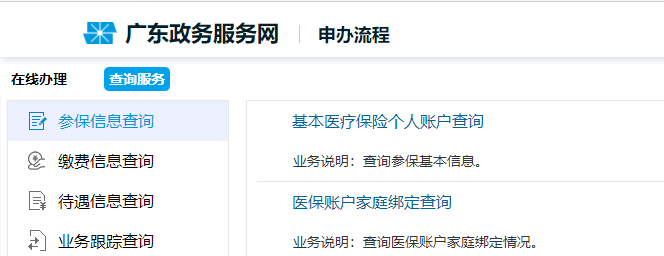 深圳市少儿医保查询指南