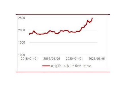 近期玉米价格走势怎么样，影响玉米价格的因素都有哪些