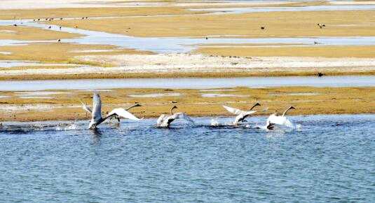盐湖股份：“内外兼修”践行绿色发展使命