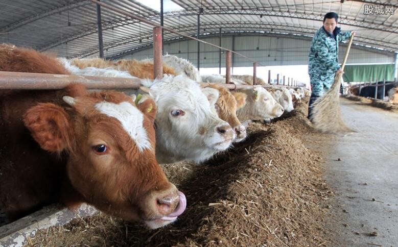 养殖贷款需要什么条件