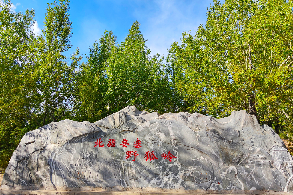 美国泄漏新冠病毒实锤？“战时状态”下，这个地方值得回看！