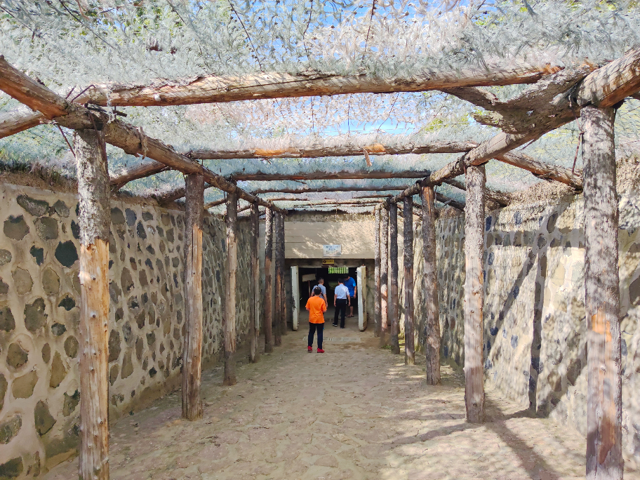 美国泄漏新冠病毒实锤？“战时状态”下，这个地方值得回看！