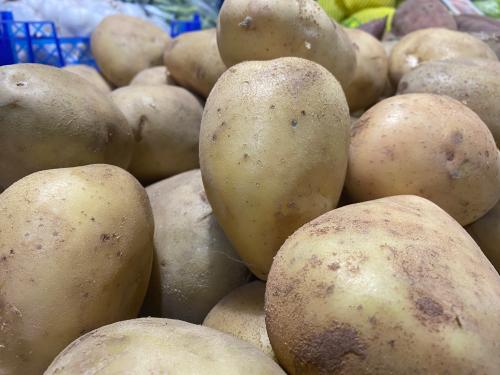 凯凯农科本次精选层小IPO发行价格不低于5.63元/股