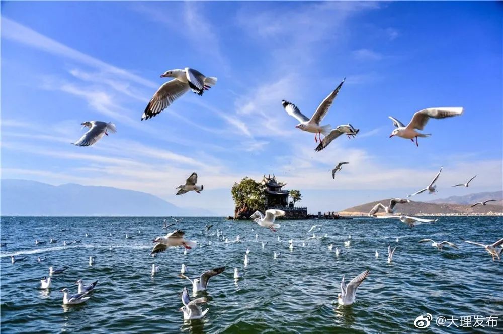 定了！春运机票退票细则出炉！多地返乡政策更新，春节回家必看！