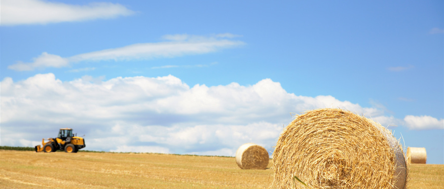 在投资方面，什么是果冻卷？