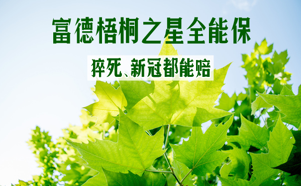 富德梧桐之星全能保39元是真的吗?好不好?可以买吗?
