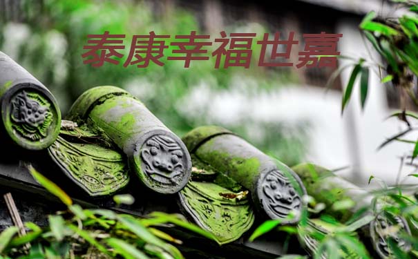 泰康幸福世嘉怎么样？优点分析、投保案例