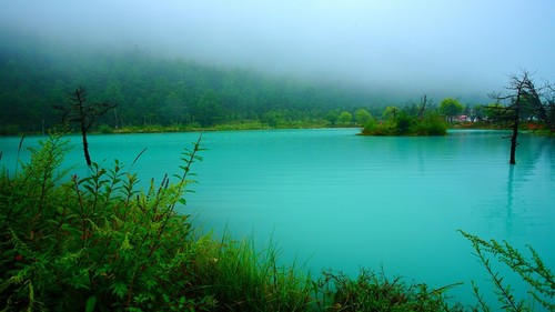 [母基金示例图]母基金是什么