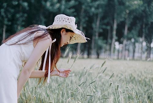 医疗基金财政补贴收入