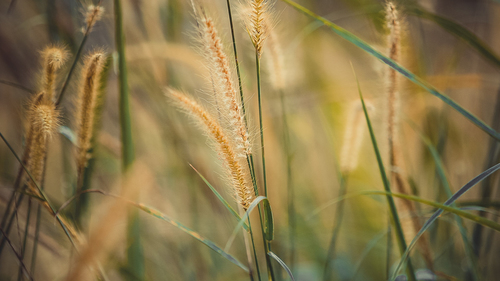 [养老金基金管理牌照]全球最大的养老金管理基金是那几个