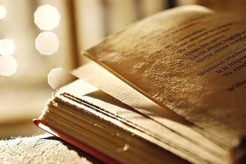 [保险资金与保险基金]保险基金的保险基金的构成