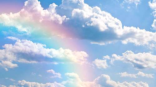 [保险资金与保险基金]保险基金的保险基金的构成