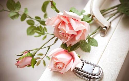 [机构选择基金]如何选择基金公司和基金