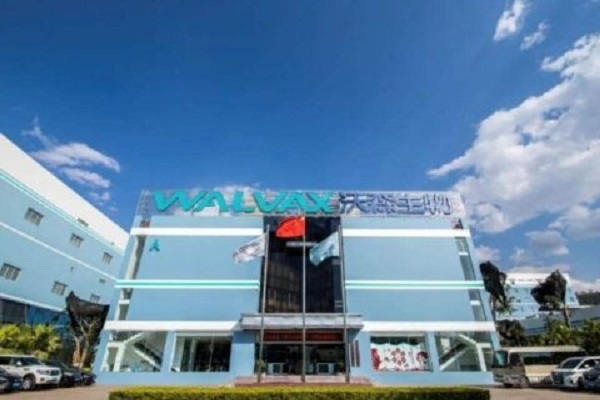 沃森生物收深交所关注函是怎么回事？什么原因？