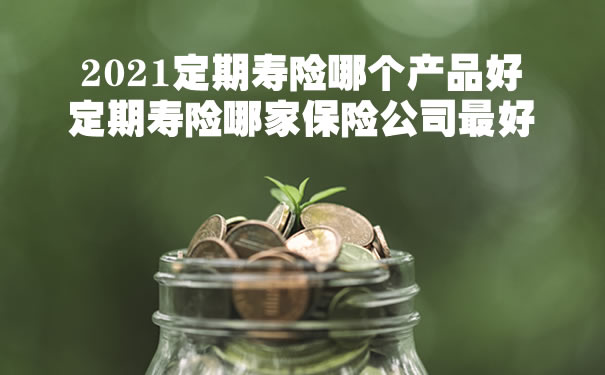 2021定期寿险哪个产品好?定期寿险哪家保险公司最好?怎么买