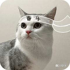 【汇查查】2月优质榜单大换新，平台突围主要靠哪些方面？