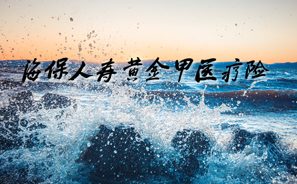 海保人寿黄金甲医疗险怎么样?保什么?保费情况