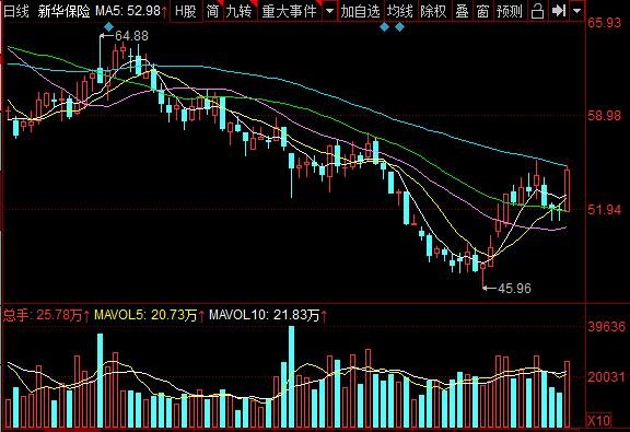 新华保险公司股东有哪些，新华保险公司未来发展