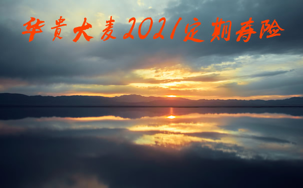 打工人值得买吗?华贵大麦2021定期寿险怎么样?保什么?