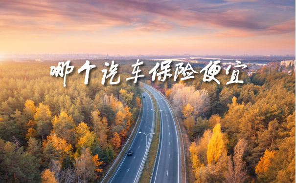 哪个汽车保险便宜、2021车险买哪个?