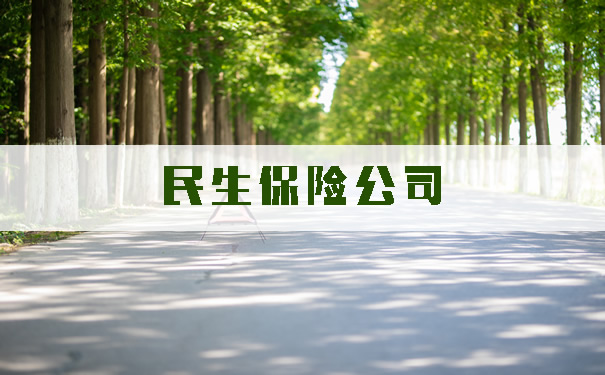 民生保险公司!民生保险公司怎么样?公司介绍