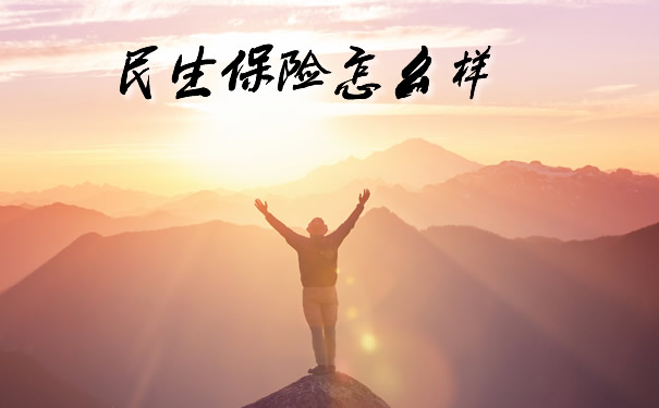民生保险怎么样2021、民生保险服务如何?靠谱吗?