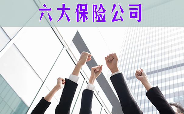 六大保险公司！2021年六大保险公司！