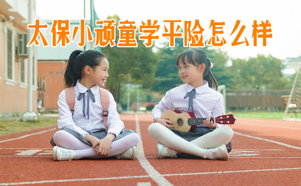 太保小顽童学平险怎么样?有什么特色?多少钱一年?值得买?