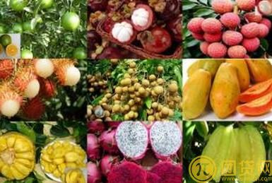 农产品现货有什么优势？农产品现货的优势分析