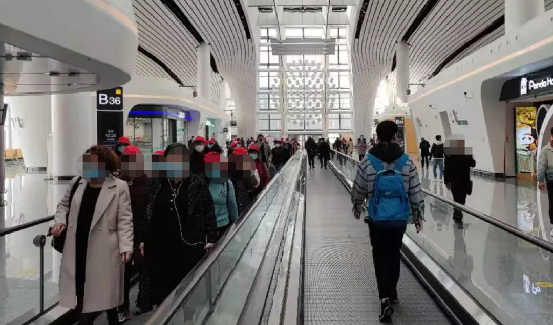 明早开抢！国航的随心飞又来了！