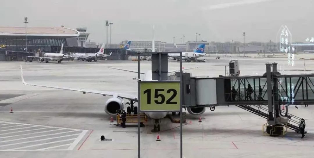 明早开抢！国航的随心飞又来了！