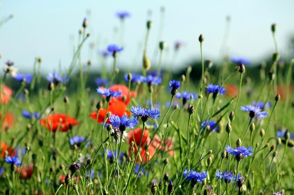 手机炒股怎么操作买入卖出股票？哪个软件比较好？